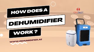 How a Dehumidifier Works  A 5 Step Guide  Condensation dehumidifier working principle [upl. by Mckee]