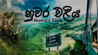 Nuwara Eliya  නුවර එළිය  ׀ By TravellStory [upl. by Oiliruam]