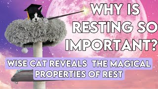 THE IMPORTANCE OF REST  What are the magical healing properties of rest [upl. by Anitnahs]