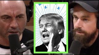 Twitter CEO on Push to Ban Trump  Joe Rogan [upl. by Mickey602]