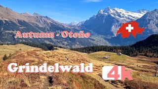 🇨🇭 SWITZERLAND GRINDELWALD from Wengen Männlichen PART 2 ZERMATT THUN Suiza 4K 🇨🇭 [upl. by Itsirc29]