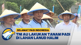 Dukung Ketahanan Pangan TNI AU Lakukan Tanam Padi di Lahan Lanud Halim [upl. by Fortier]