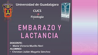 Capítulo 83 quotEMBARAZO Y LACTANCIAquot  Fisiología de Guyton [upl. by Anitra]