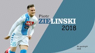 Piotr Zieliński Skills amp Goals  Napoli  20172018 [upl. by Phyllys]