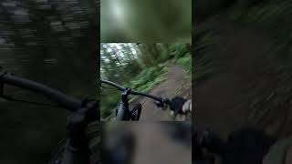 A Few Berms mtb downhill [upl. by Latonia]