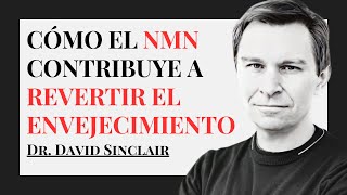 Qué es NMN y sus Beneficios para Revertir el Envejecimiento  Dr David Sinclair [upl. by Wiebmer]