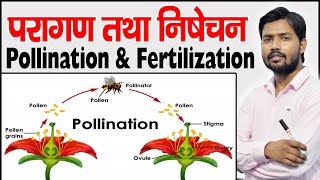 POLLINATION AND FERTILISATION  Agents of Pollination  Cross pollination  Self Pollination [upl. by Ylnevaeh693]