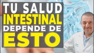 Cómo eliminar el moco intestinal y recuperar la salud digestiva [upl. by Norword]