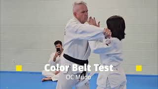 Color Belt Test Hybrid Grappling Techniques [upl. by De]