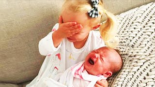 Legendary Moments When Kids Meet Newborn Babies  Funny Baby Siblings [upl. by Auqcinahs224]