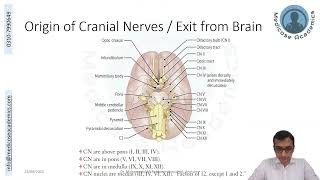 Introduction to the Cranial Nerves [upl. by Shannan]