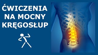 Ćwiczenia na stabilny i mocny kręgosłup  Stabilizacja głęboka kręgosłupa  Ćwiczenia CORE [upl. by Fernand]