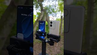 Vivo t2 Pro 5G 🤯 vs Realme 12 pro plus 5G 😱 Camera Test Short [upl. by Atalanti]