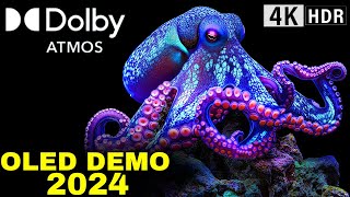 2024 OLED Demo Dolby Atmos Revolutionizes TV Audio with Heart Pounding Sound [upl. by Xet884]