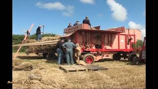 Vintage Show  Everything from Gramophones to Binders and Threshers And HorsePloughing [upl. by Airt92]