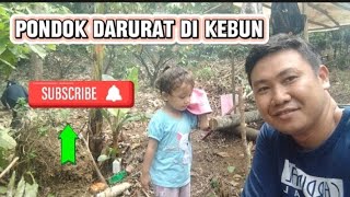 pondok darurat di kebun [upl. by Eleanora]