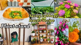 Garden Makeover  Plant stand  Savoy Cabbage leaves Recipe [upl. by Amsaj630]