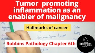 TumorPromoting Inflammation as an Enabler of Malignancy Robbins Pathology chapter 6 lectures [upl. by Badr]