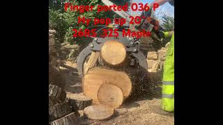 Finger ported Stihl 036 Pro hyway pop up piston 20” bar 26RS 325 chain maple stihl chainsaw [upl. by Selin962]