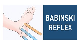 Babinski Reflex Plantar Reflex [upl. by Torre]