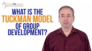 What is the Tuckman Model of Group Development PM in Under 5 [upl. by Lindholm208]