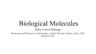 MONOMERS AND POLYMERS AQA ALevel Biology amp Exam Style Question [upl. by Maer973]