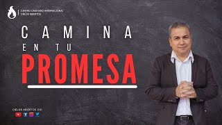 CAMINA EN TU PROMESA PASTOR JOSE LUIS DAMIAN MARQUEZfe cielosabiertos predicas promesas [upl. by Lirret843]