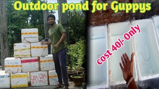 Outdoor Fish Pond For Guppy Fish in Low cost 😍😍 [upl. by Dekow]