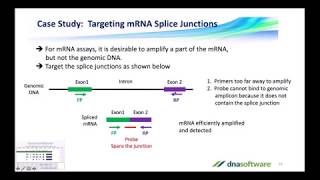 PanelPlex™ Best Practices Webinar [upl. by Emee902]