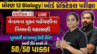 Std 12 Biology Practical 10  મેન્ડલના મુક્ત વહેંચણીના નિયમ  Mendels law of Independent Assortment [upl. by Alburg]