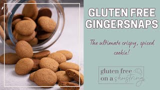 Gluten Free Gingersnaps [upl. by Tallou222]