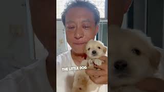 Man Saves Shivering Dog on a Rainy Day [upl. by Ahgiel]