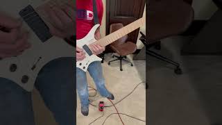 CAFO Animals as Leaders cover [upl. by Stephen]