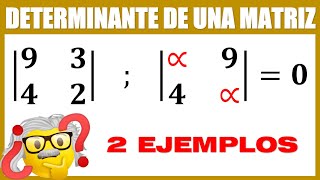 Determinantes 2x2 [upl. by Elletnohs]