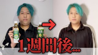 1週間ヘルシアamp特茶を飲み続けたら何キロ痩せる？ Shorts [upl. by Sonnie]