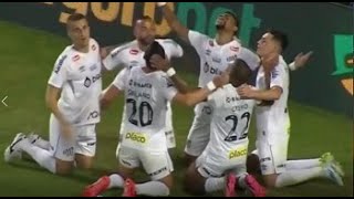 SANTOS E CORITIBA MELHORES MOMENTOS BRASILEIRÃO SERIE B 2024 [upl. by Jacobsohn]