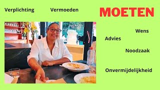 Het modale werkwoord MOETEN [upl. by Enomad]