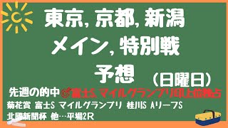 🔥日曜日メイン特別戦予想🔥天皇賞秋 東京京都新潟先週の馬場傾向 [upl. by Sedgewake447]