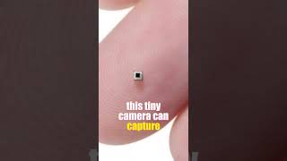 The Worlds Smallest Camera  Science Fact factshorts [upl. by Bj]