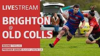 RUGBY UNION  Brighton  Old Collegians [upl. by Elleiad]