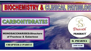 Carbohydrates  Fructose  Galactose  BIOCHEMISTRY [upl. by Lorola703]