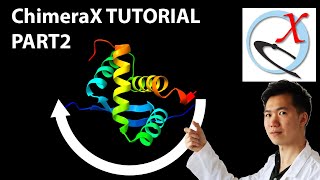 ChimeraX Tutorial  Moving 3D Proteins [upl. by Einahpets371]