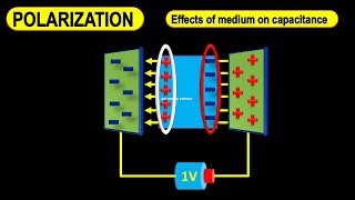 Dielectric polarization  Dielectric polarization animation  Polarization of dielectric slab [upl. by Orimlede489]