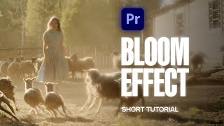 How to Add Film BLOOM Effect in Premiere Pro [upl. by Ezana470]