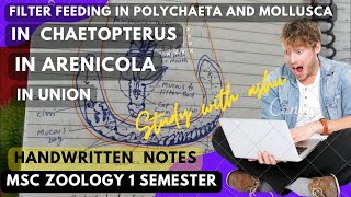 Filter feeding structure and method in polychaeta and mollusca for MSc zoology 1st semester notes [upl. by Aylmar175]