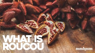 What is Roucou Annatto Extract [upl. by Airtened]