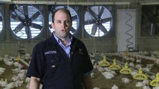 Meet the Chicken Farmer  David Speller [upl. by Gardas]