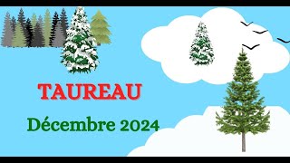 ♉TAUREAU  DECEMBRE 2024  QUI VIENT VERS VOUS [upl. by Aleahc]