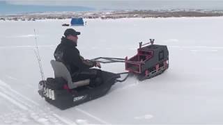 Snow mutt and ice fishing [upl. by Gnod582]