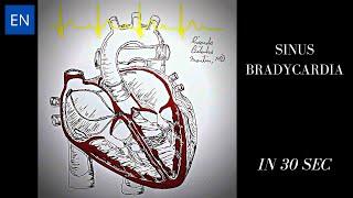 Sinus Bradycardia Animation and ECG Shorts [upl. by Livvie]